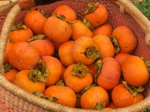 48416034 1433953126740945 1122141380961894400 n