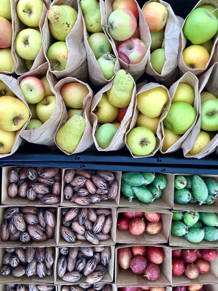 AdelaideFarmers Image2