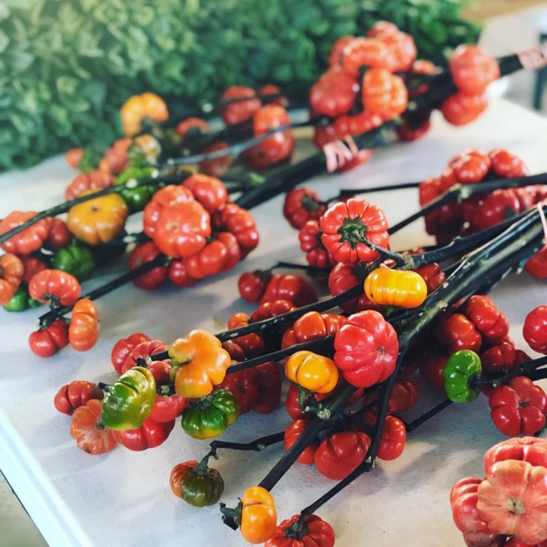 AnnArbor Image2 768x768