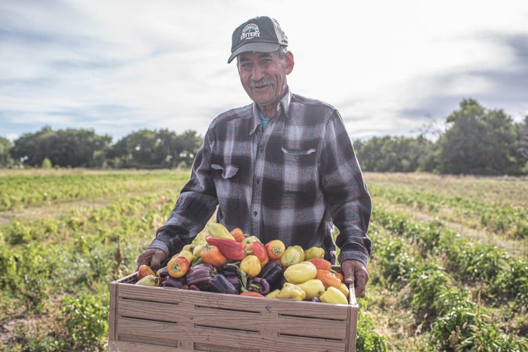 BoulderFarmers Image3 1 768x513