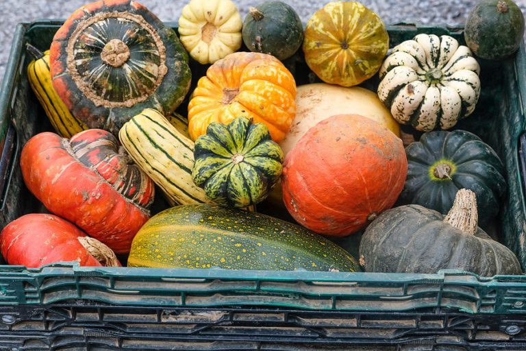 BrockleyMarket Image2 768x512
