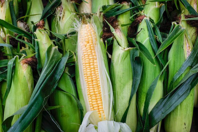 BrockleyMarket Image3 768x512