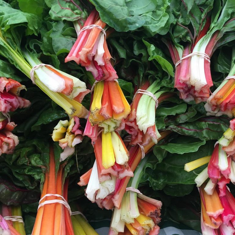 BurlingtonFarmers Image3 768x768