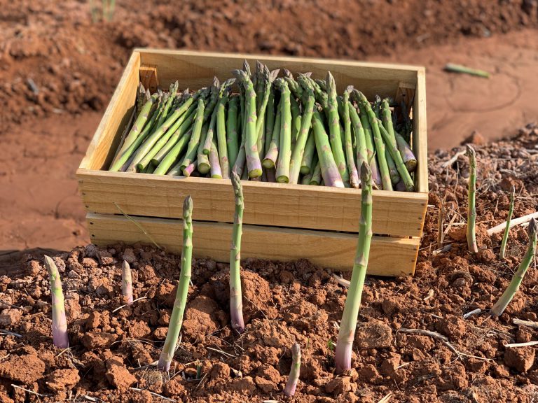 CapitalRegion Image2 768x576