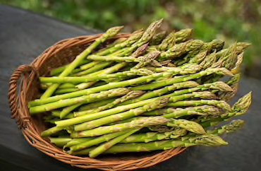 ChristchurchFM Image3