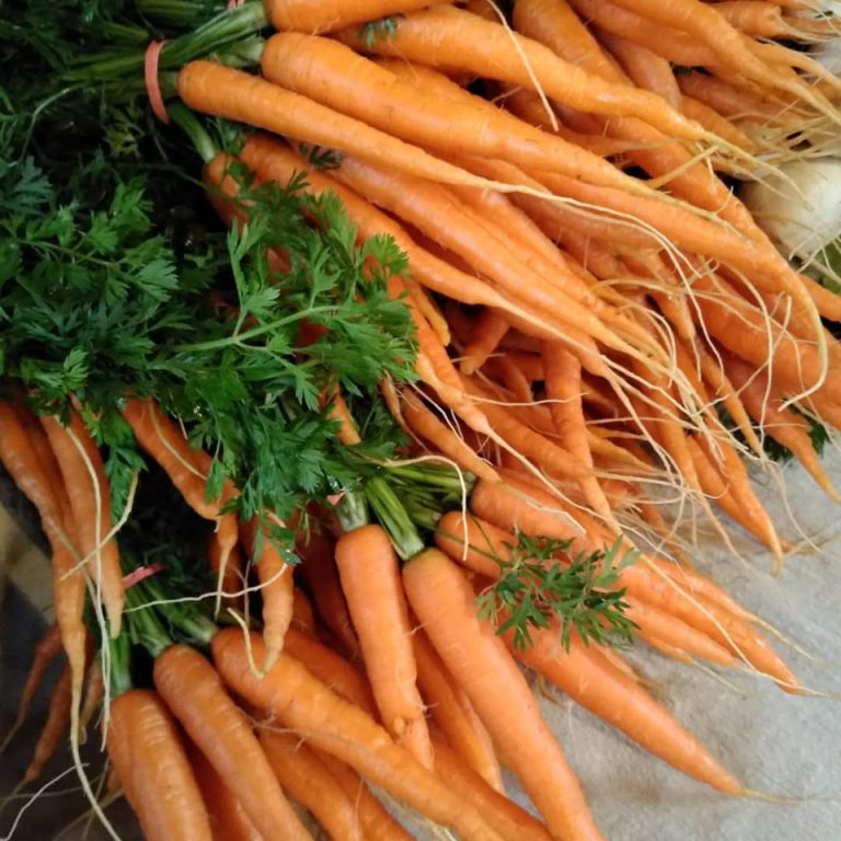 CooperstownFarmers Image2 768x768