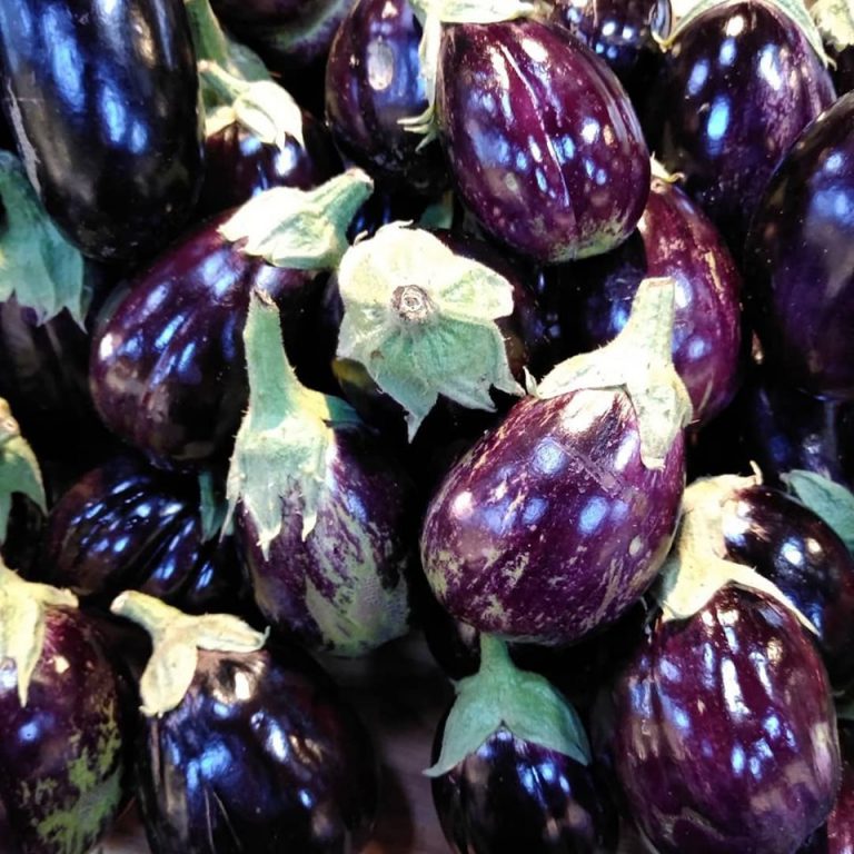 CooperstownFarmers Image3 768x768