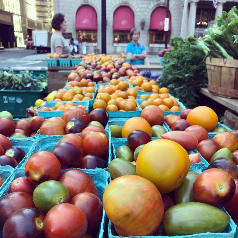 CopleySqFarmers Image3 768x768