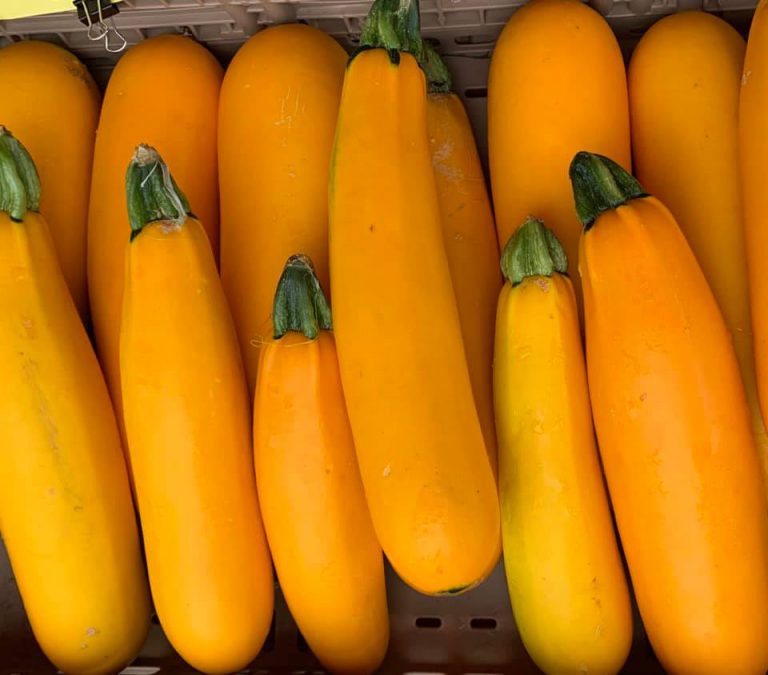 CrescentCity Image2 768x675