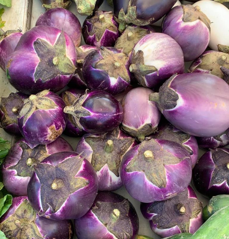 CrescentCity Image3 768x801