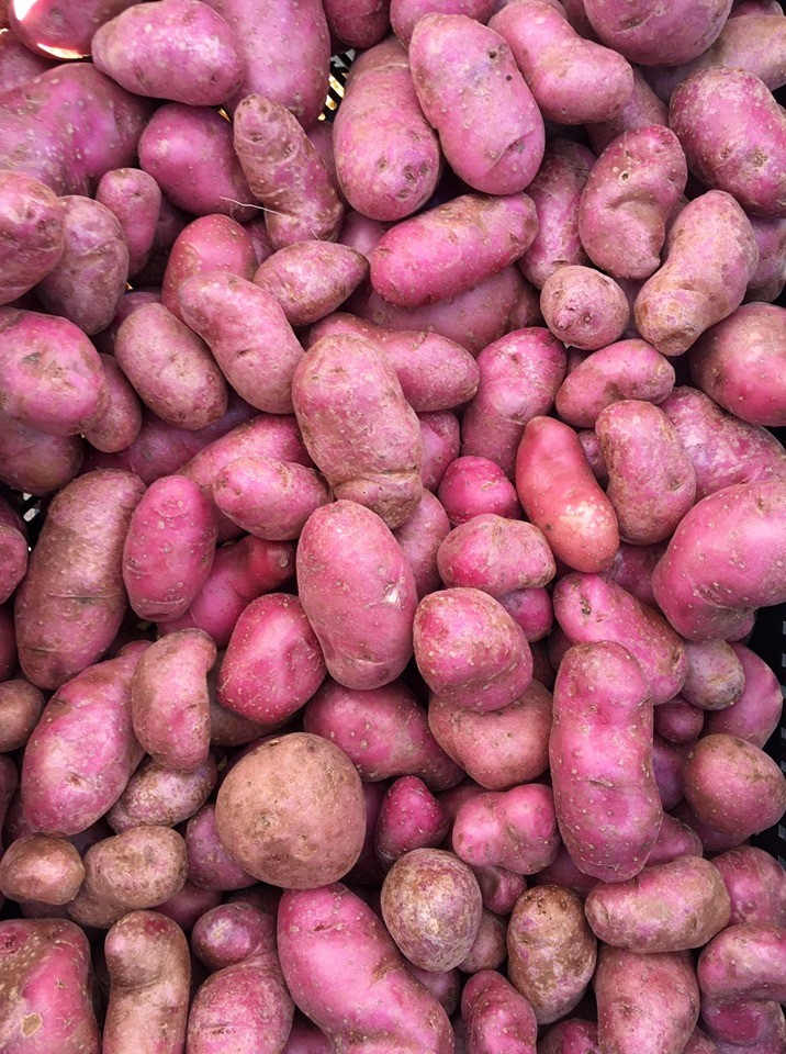 DaneCountyFarmers Image1