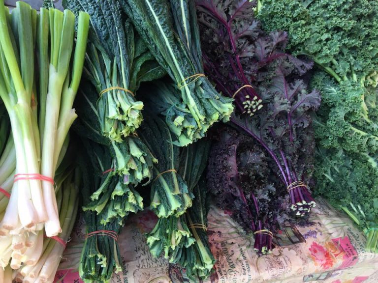 DaneCountyFarmers Image2 768x576