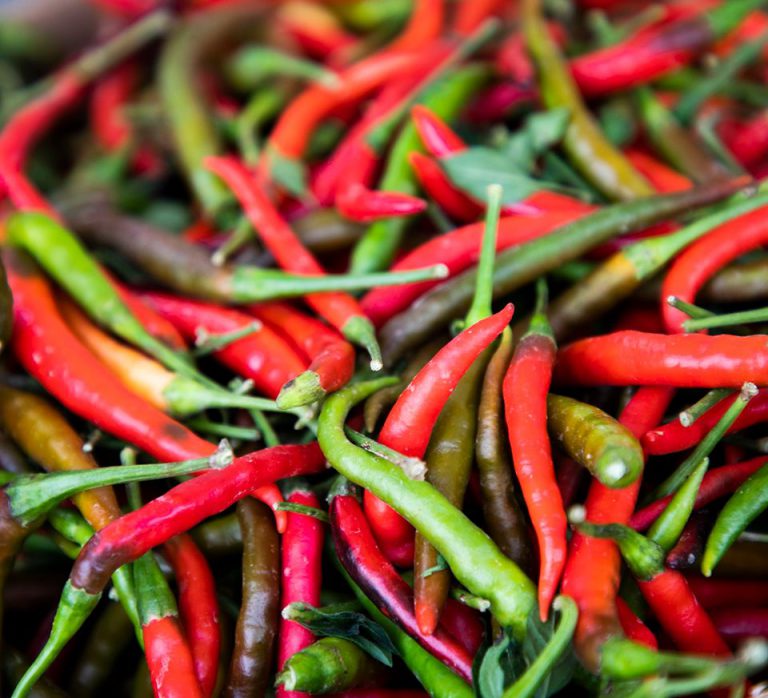 DesMoinesFarmers Image2 768x698