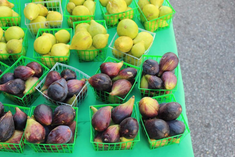 DowntownFarmers Image1 768x513