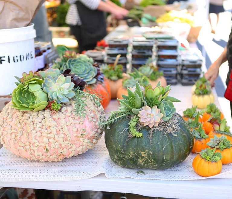 FerryPlazaFarmers Image2 768x658