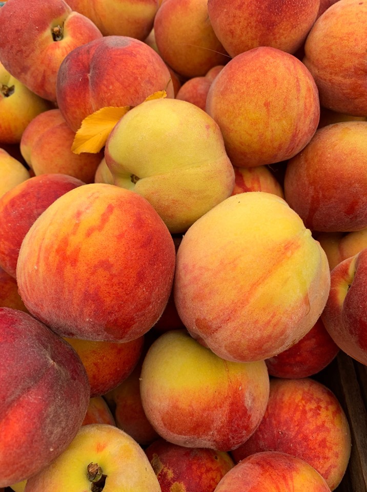 Freshfarm Image2