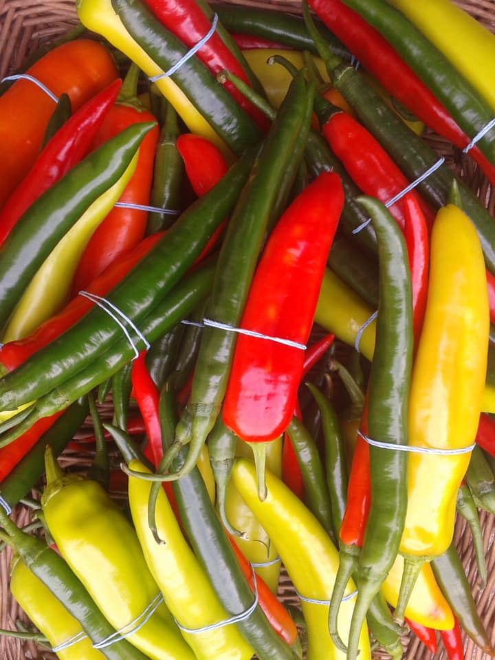 GrowingFarmers Image2
