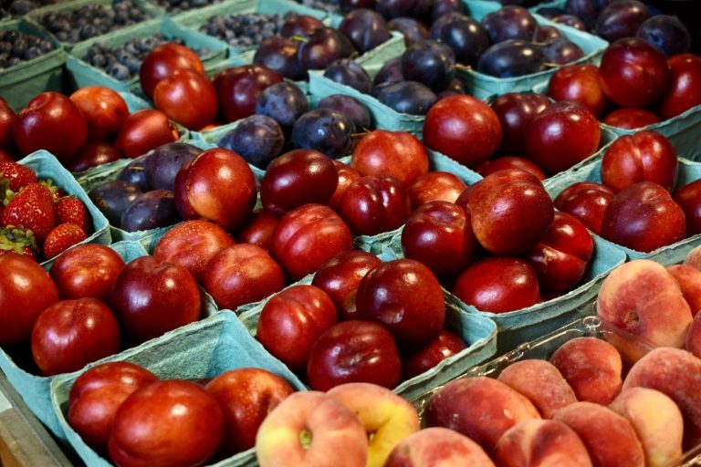 HalifaxFM Image2 768x512