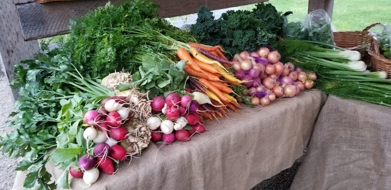 HubbardsFM Image3 768x373