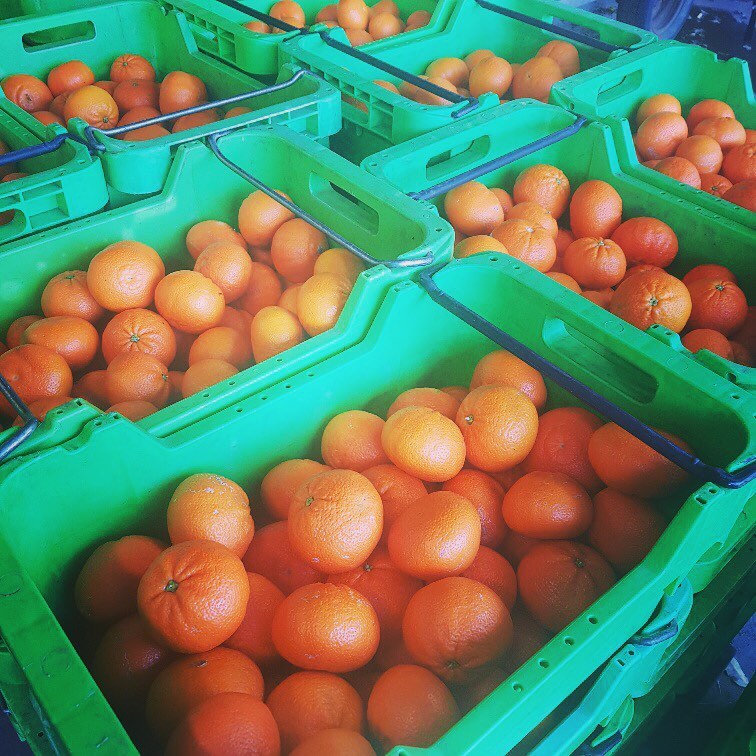 MargaretFarmers Image1