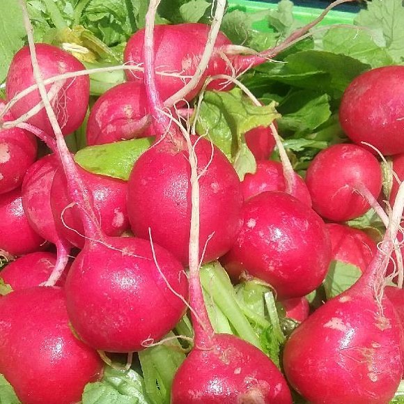 MargaretFarmers Image2