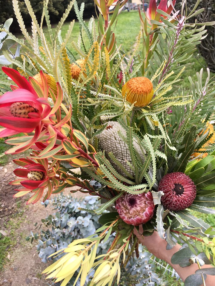 MelbourneFarmers Image2 5