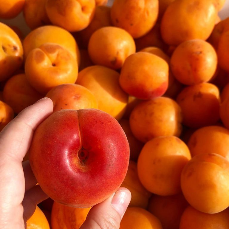 MissionComm Image2 768x768