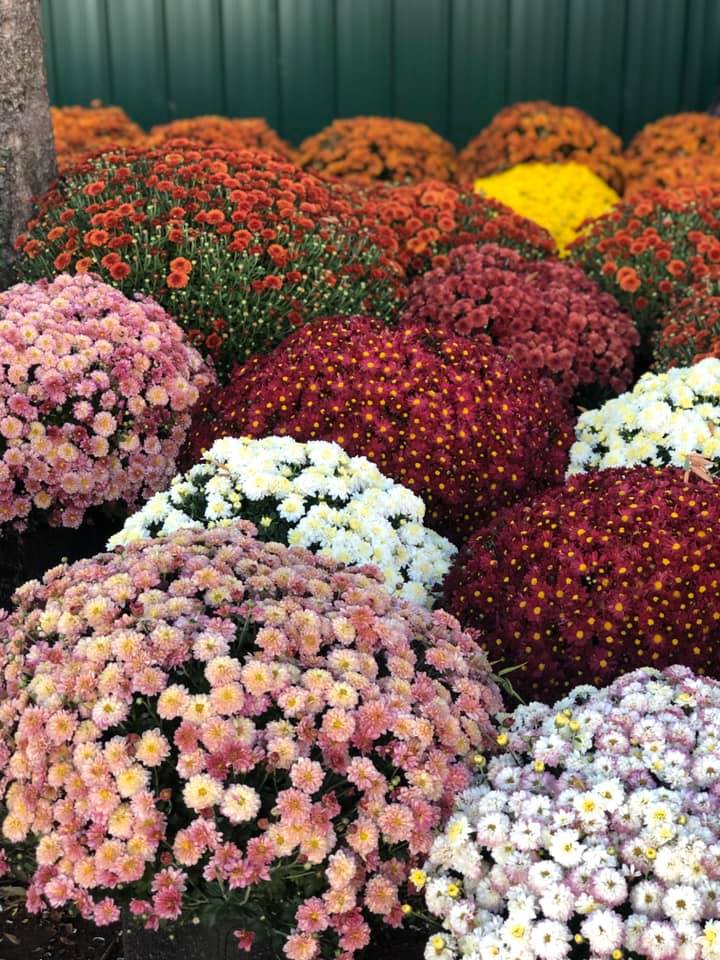 NashvilleFarmers Image3
