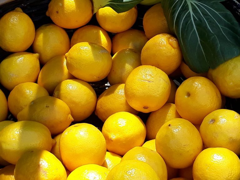 Noosa Image1 768x576