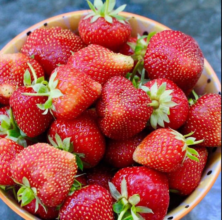 OrganicGold Image1 768x763