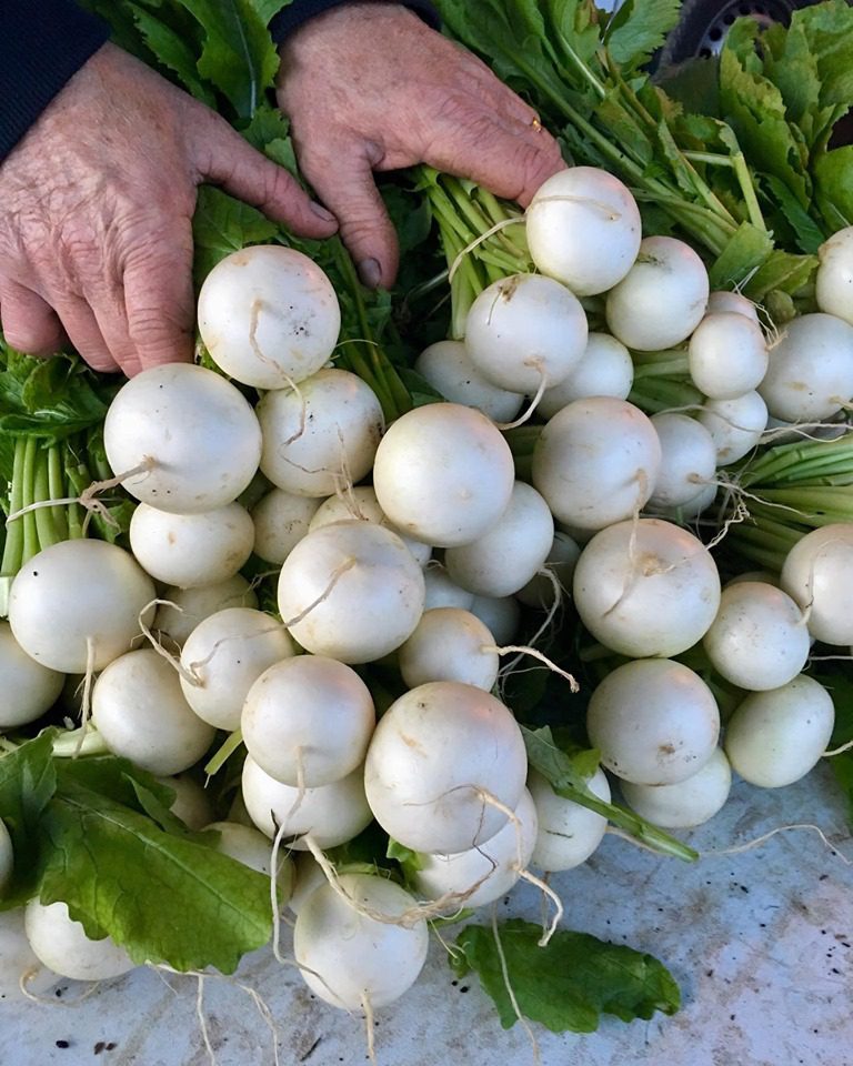 OtagoFM Image3 768x960