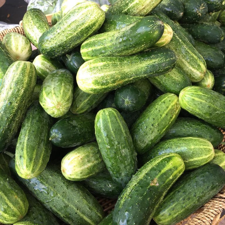 Peachtree Image2 768x768