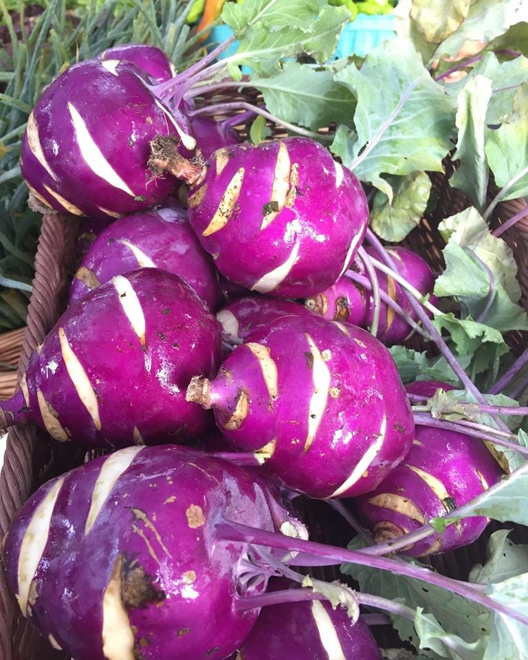 Peachtree Image3 768x960