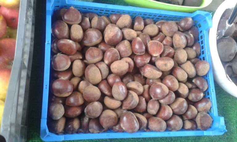 PeckhamFM Image3 768x461