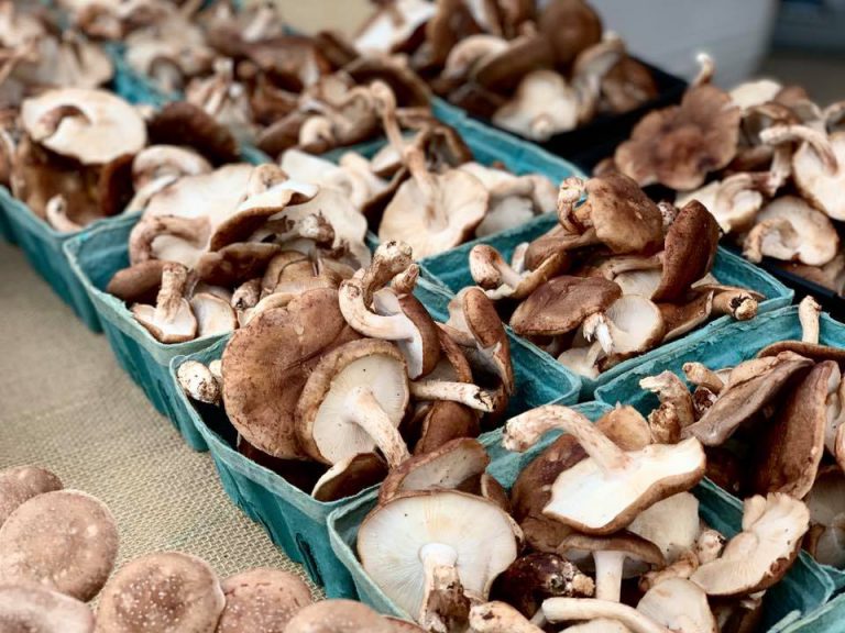 PepperPlace Image3 768x576