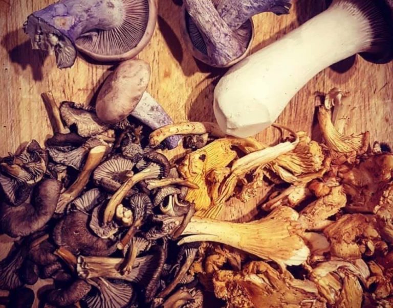 RipleyFarmers Image3 768x603