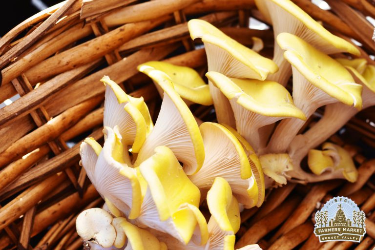 SFCFarmers Image2 768x512