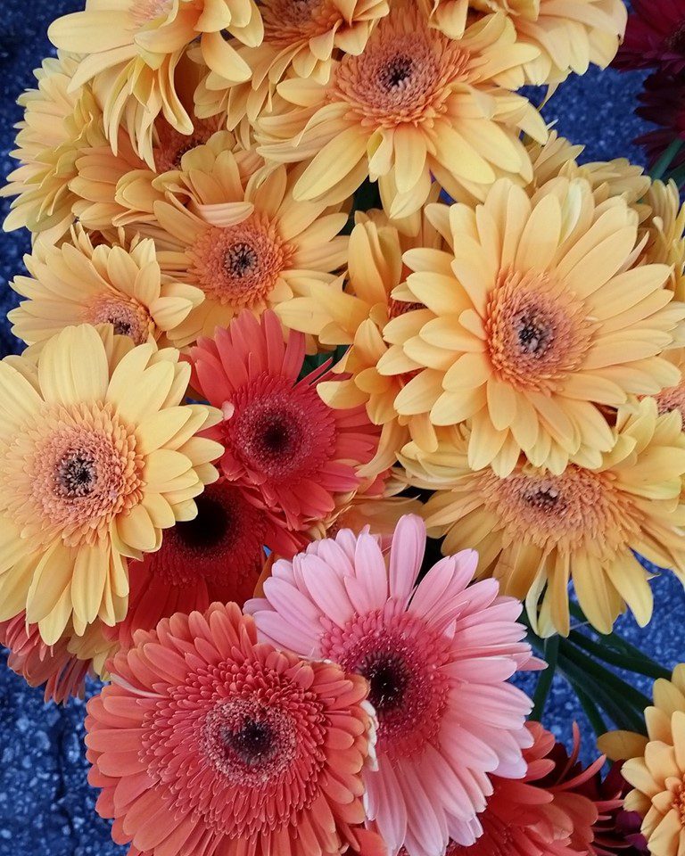 SMFarmers Image2 768x960
