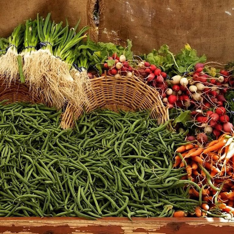 SMFarmers Image3 768x768