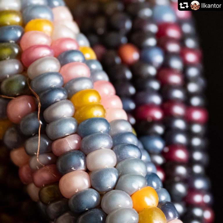 SantaFeFarmers Image3 768x768