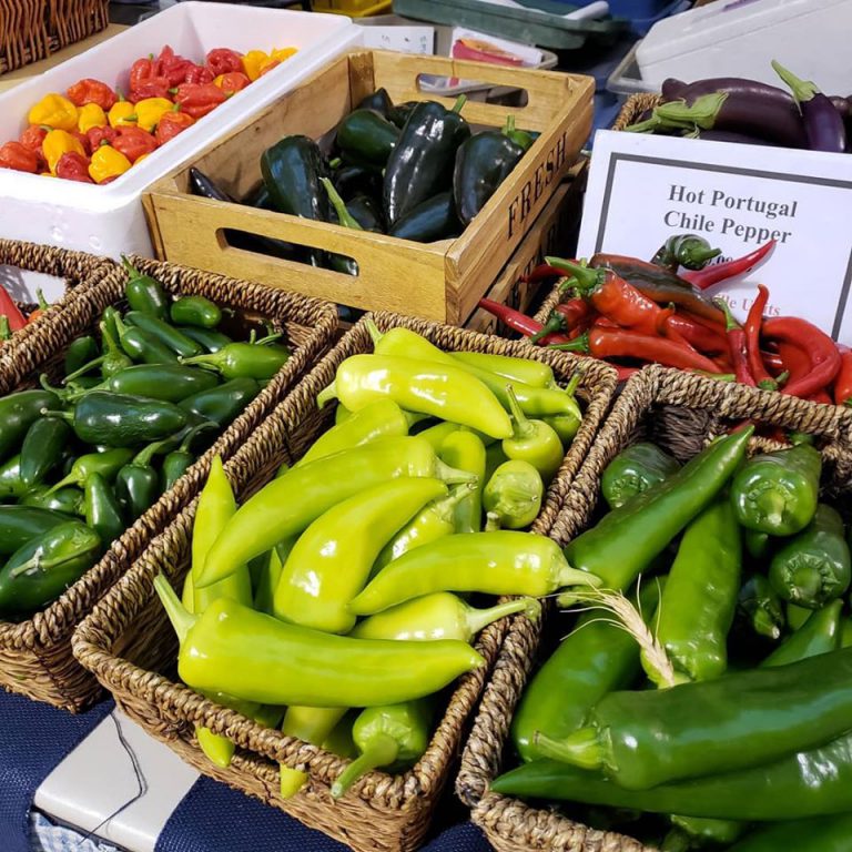 SaskatoonFM Image3 768x768