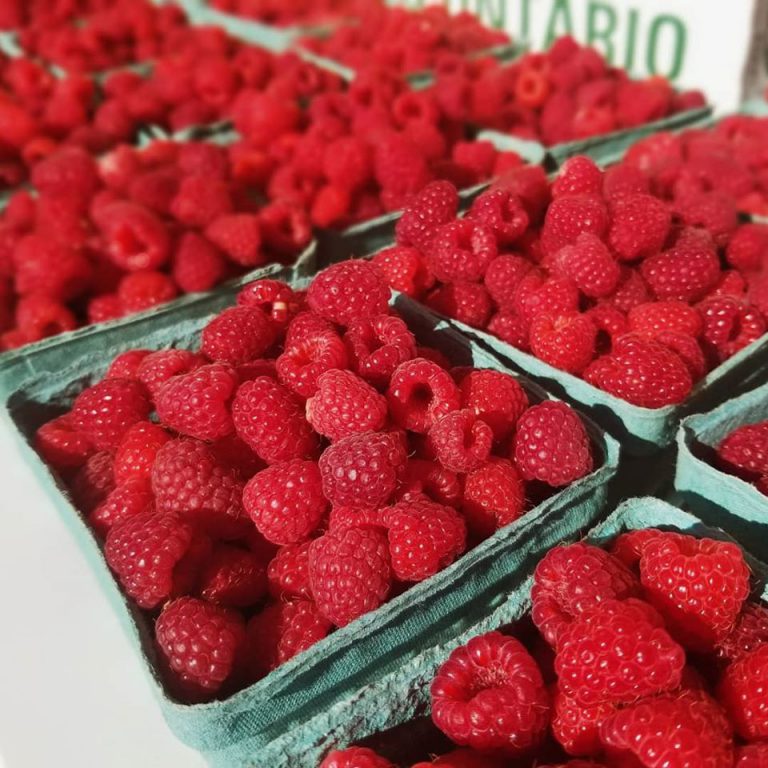 StJacobsFM Image2 768x768