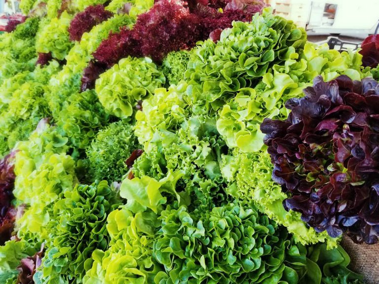 StJacobsFM Image3 768x576