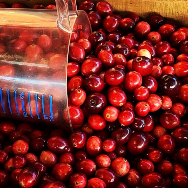 StPaulFarmers Image2 768x768