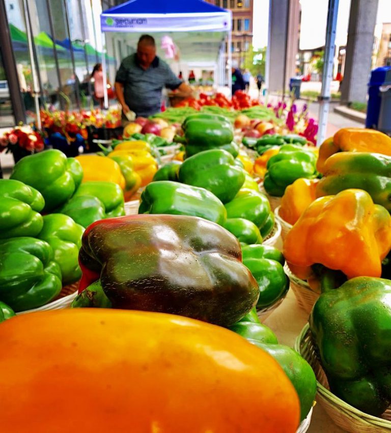 StPaulFarmers Image3 768x852