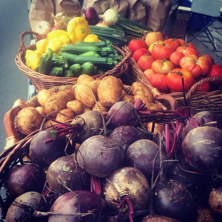 Talbot Image2 768x768