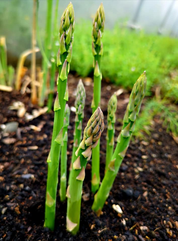 TheGreenDoorMarket Image2