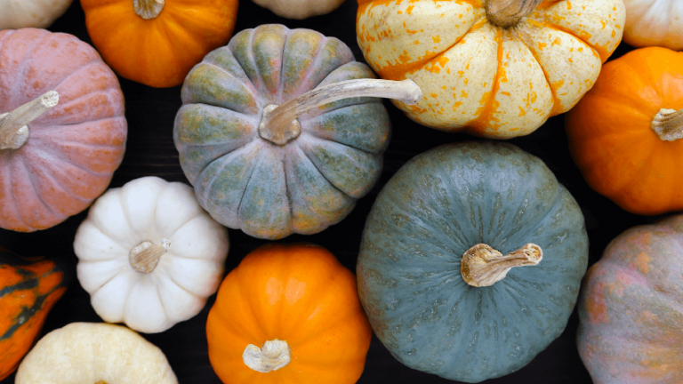 TroutLakeFM Image2 768x432