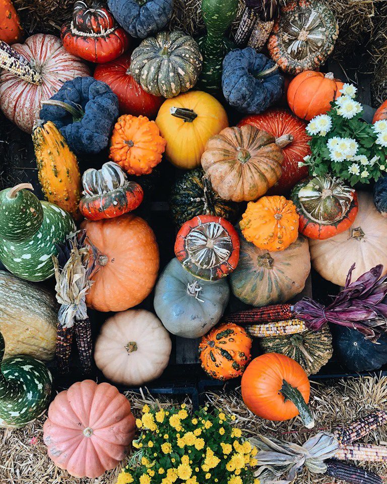 UnionSqGreen Image2 768x960