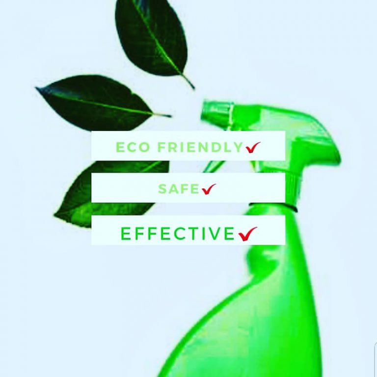 thatsawesomeproducts 47581955 2254645518147078 6455209869832459148 n 768x768